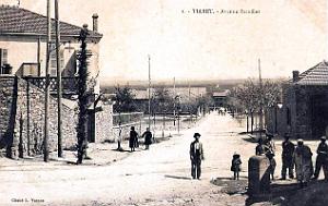 2802- Tiaret - Avenue Escoffier - - 1915